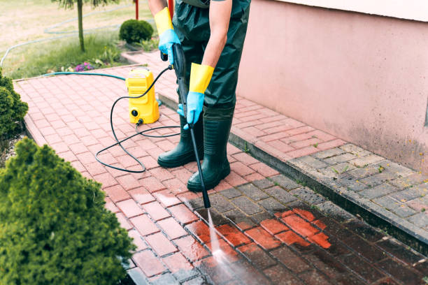 Professional  Pressure Washing Services in Hayden, CO