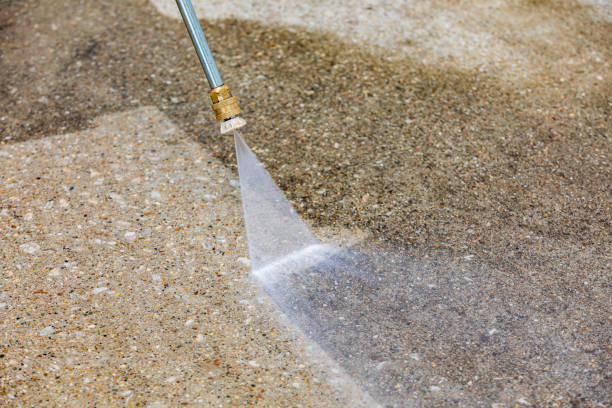 Best Sidewalk and Walkway Cleaning  in Hayden, CO