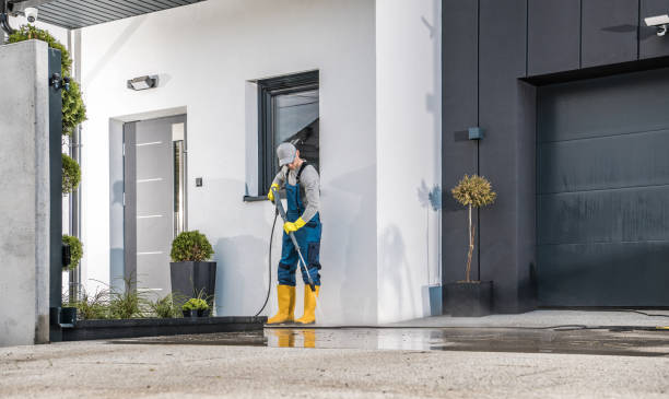 Best Dumpster Area Cleaning  in Hayden, CO